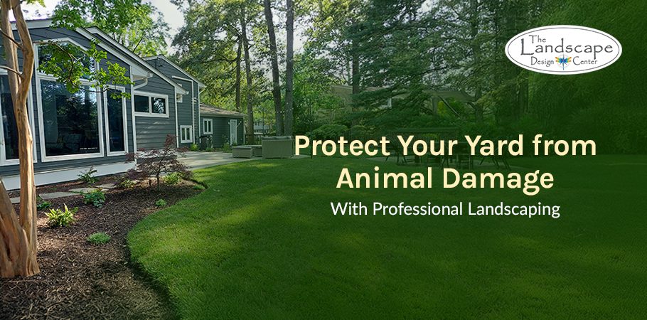 Transform your yard with professional landscaping services from The Landscape Design Center.