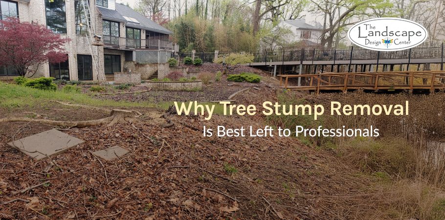 Choose The Landscape Design Center for hassle-free tree stump removal.