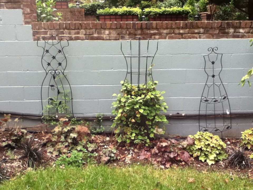 landscaped yard